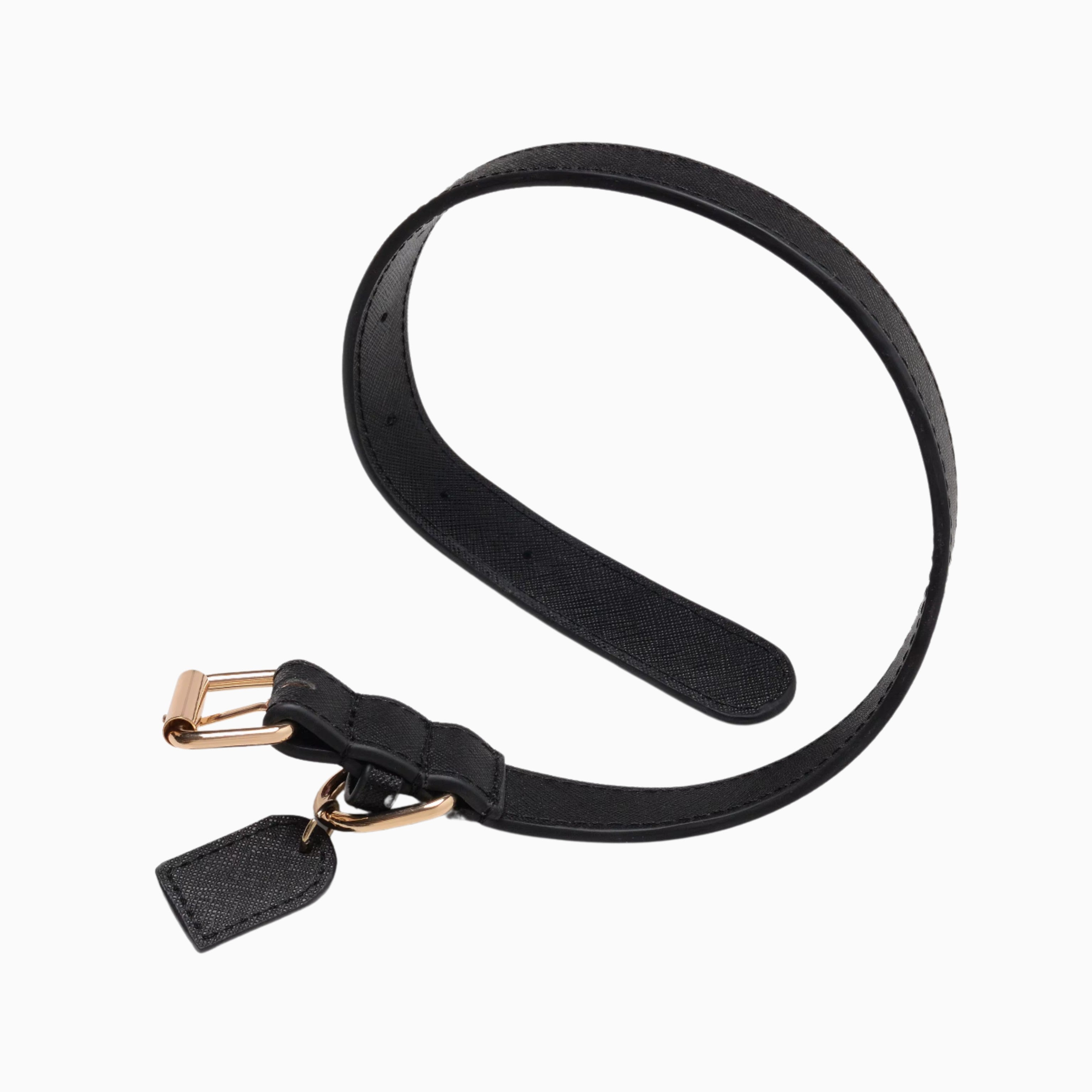 Collar y Correa Pet