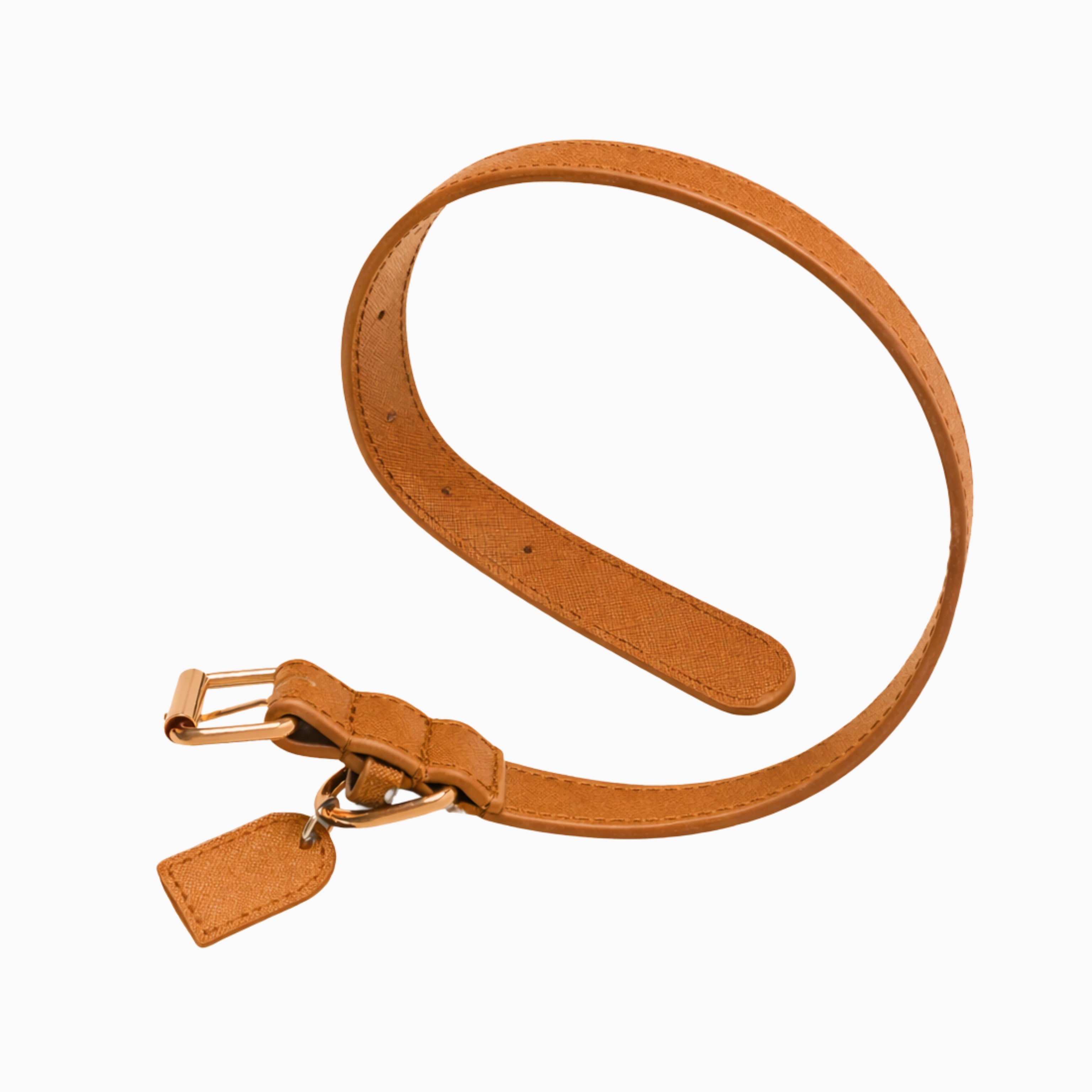 Collar y Correa Pet