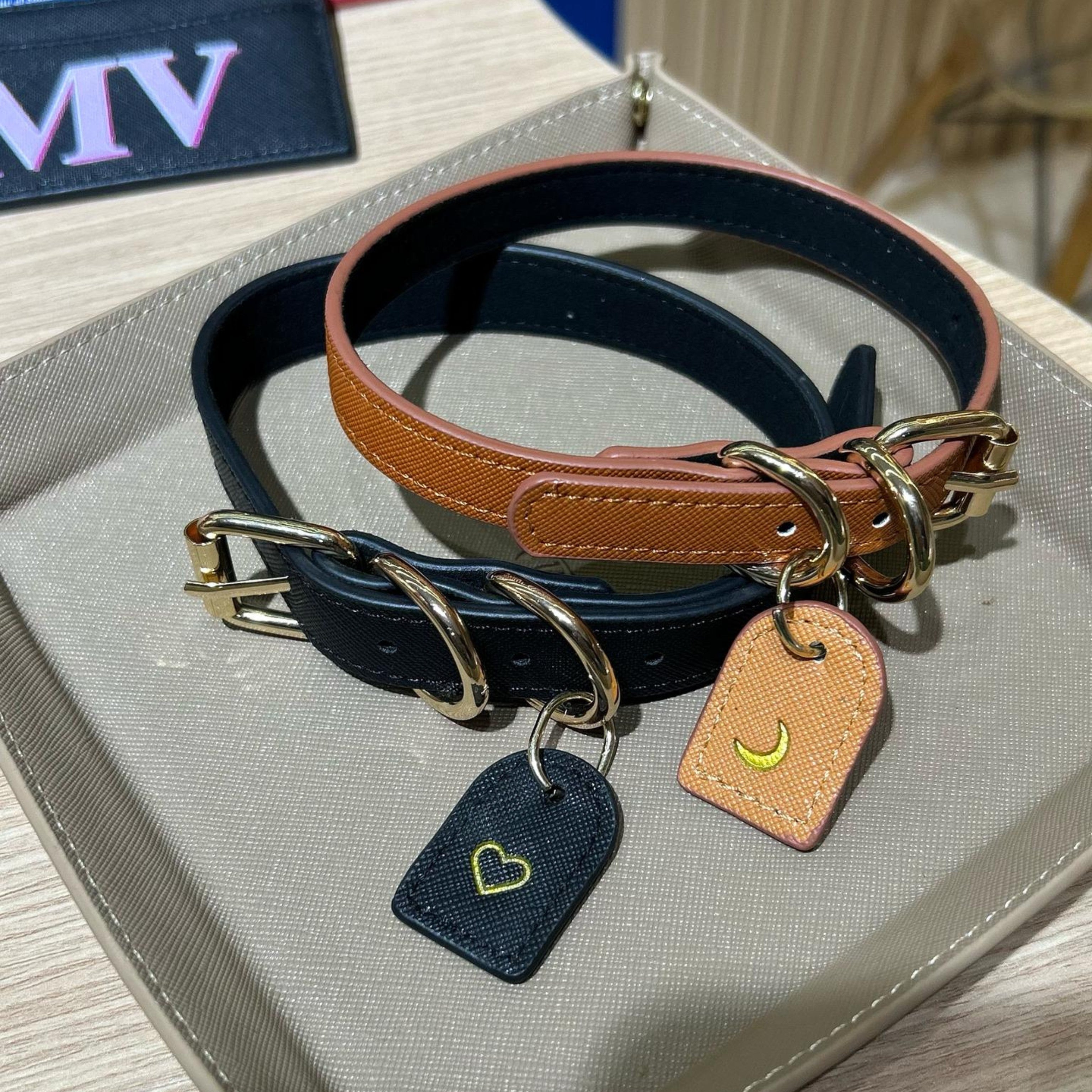Collar y Correa Pet